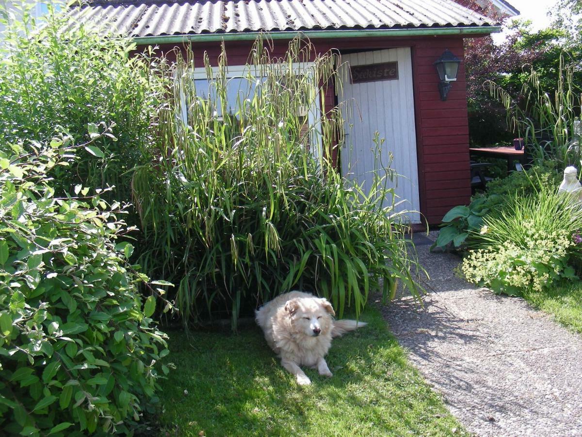 Ferienwohnung Kreider Dagebüll Exterior foto
